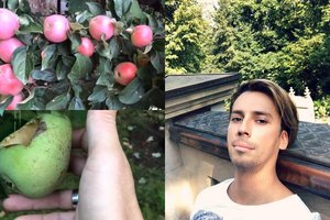 Maksimas Galkinas gerbėjams atvėrė sodo vartus: džiaugėsi derliumi