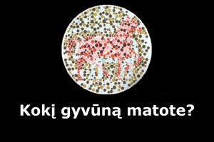 Kokį gyvūną matote? Štai ką tai sako apie jus