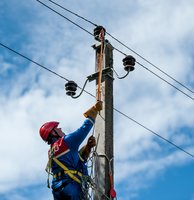 Įspėjo: dėl kompensacijų už elektros stulpus brangs elektra