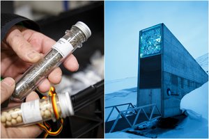 Latvija ruošiasi Paskutinio teismo dienai – į saugyklą siunčia sėklų pavyzdžius