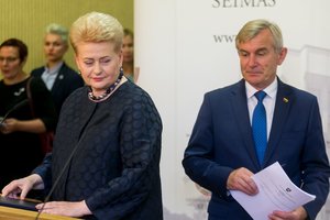 D. Grybauskaitė kirto valdantiesiems: Seimo komisijomis manęs neišgąsdinsite ir neužtildysite