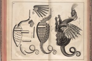 Senų ir retų knygų kolekcininkas Jaunius Gumbis: „Lietuva turi kuo didžiuotis“