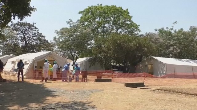 Per choleros epidemiją Zimbabvėje mirė 21 žmogus