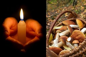 Apsinuodijusi senolė prieš mirtį ištarė: „Valgiau grybus iš netoliese esančio miško“