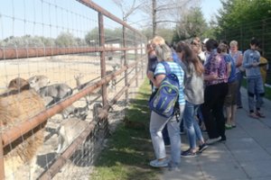 Šie vaikai niekuo nesiskiria nuo kitų, tik jiems reikia suteikti galimybę