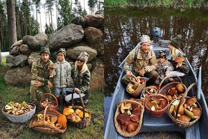 Jevgenijus Pliuščenka pasidalijo neįtikėtinu grybų derliumi