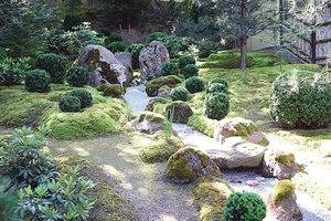 Po langais mieliau regėtų šiukšlyną nei sodą, net jei šis – japoniškas