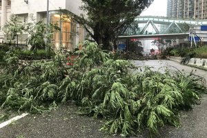 59 filipiniečių gyvybes nusinešęs taifūnas užgriuvo Pietų Kiniją