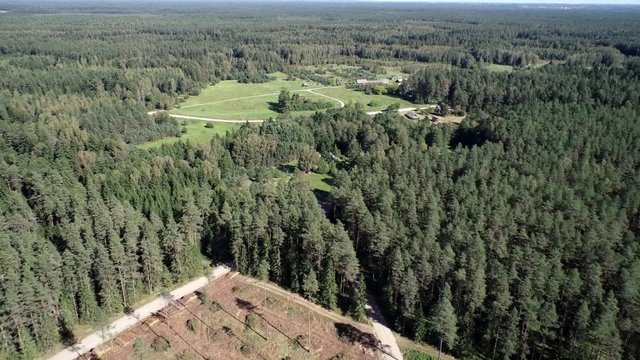Miškai dingsta ir Vilniuje: iškirsti šimtamečio pušyno hektarai