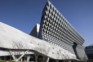 Susišluos visas simpatijas – šio statinio fasadas papirks kiekvieną