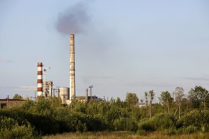 Bėdų iškamuotas Lietuvos rajonas ištraukė laimingą kortą – ketina driokstelėti, laukia emigrantų