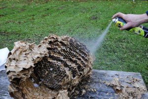 Vaikų ligoninėje Klaipėdoje – pavojingas radinys: į įvykio vietą skubėjo ugniagesiai