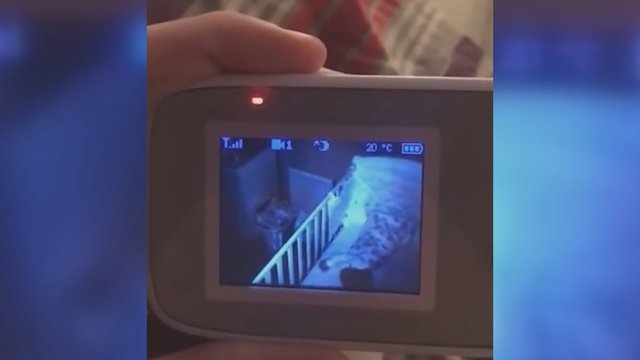 Tėtis sunerimo – per vaizdo kamerą vaiko kambaryje pamatė keistą vaizdą