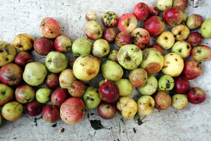 Spaudėjai pastebi naujus vartotojų pomėgius: grynas sultis keičia maišytos