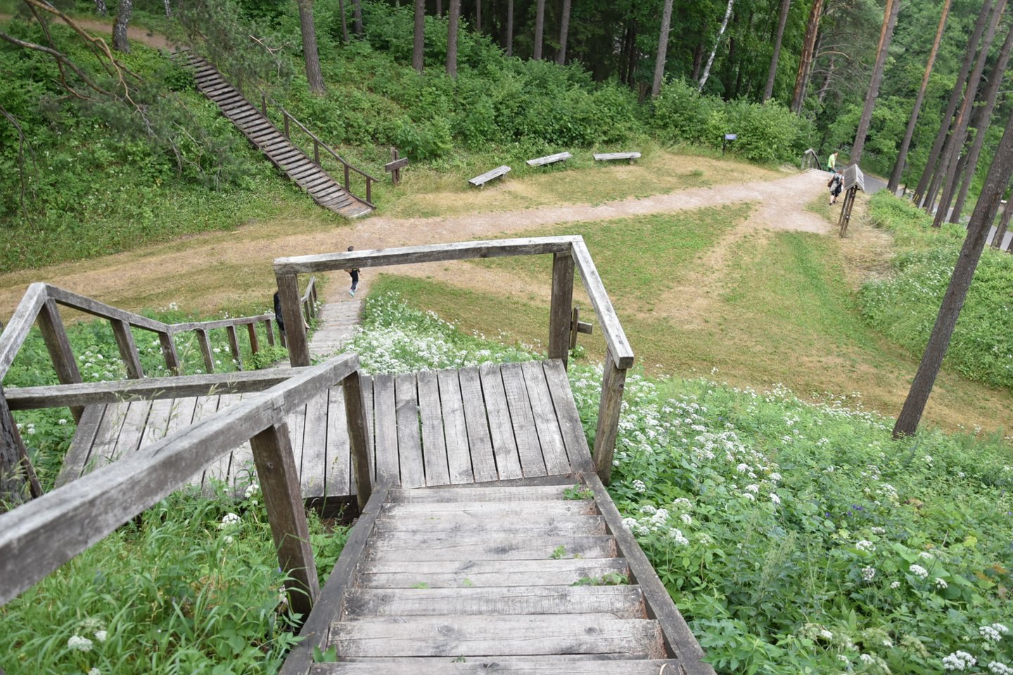 Jaunųjų miškininkų konkursui parinktas Aukštaitijos nacionalinis parkas, kurio du trečdalius teritorijos užima miškai.<br> A.Srėbalienės nuotr. 