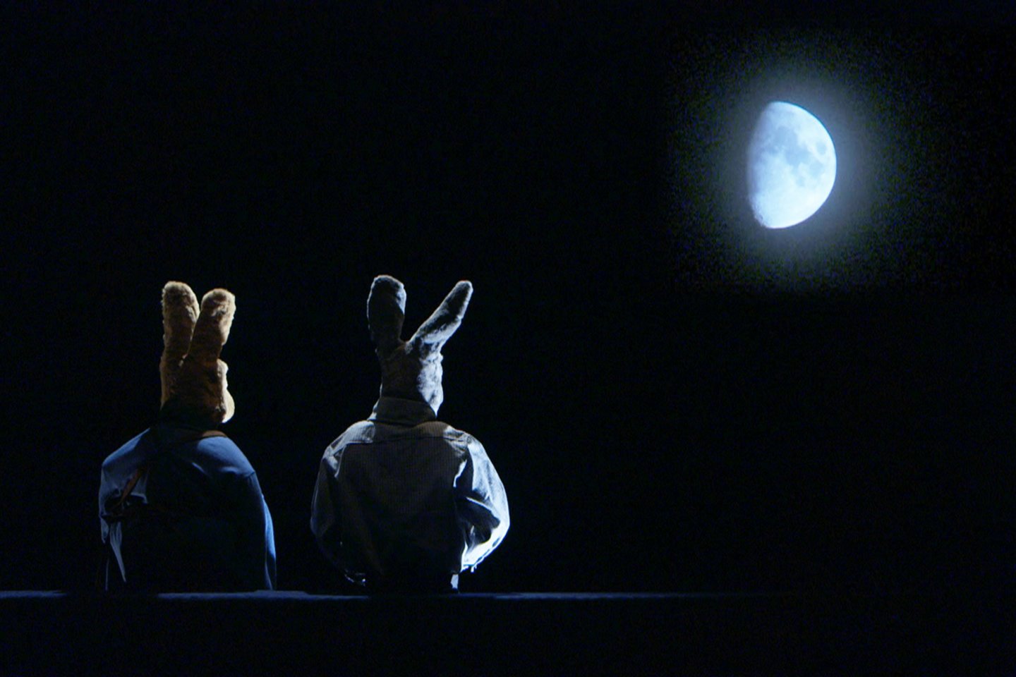 Kadras iš P.Liechti filmo „Tėvo sodas“.