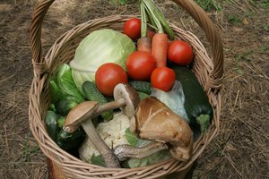 Žinau, kaip ilgiau išlaikyti  šviežias daržoves –  kiekvienai taikau po gudrybę 
