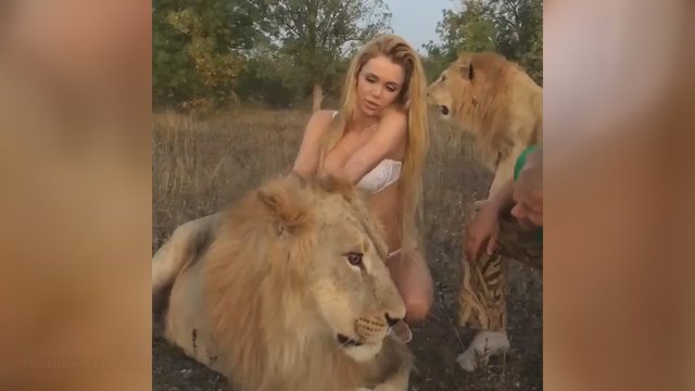 Supykdė pusnuogės fotosesija prie liūtų – užsipuolė tūkstančiai