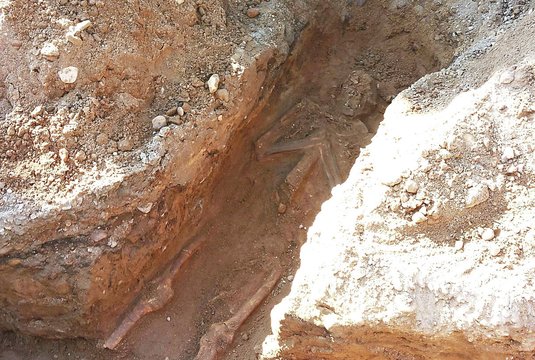 Kraupūs radiniai pakaunės namo kieme nustebino net archeologus