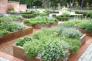 Valdovų rūmuose didikai skabė mėtas, puoselėjo apelsinmedžius ir uodė čiobrelių aromatą