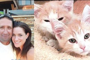 Įsižiebusią poros meilę sutvirtino dvyniai katinai