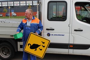 Klaipėdoje pasirodė nauji informaciniai ženklai – „Atsargiai, gulbė ir gulbiukai“