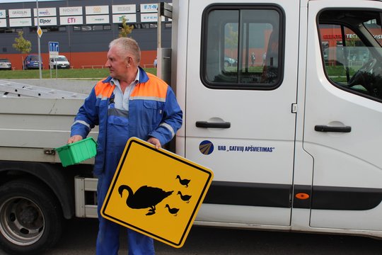 Klaipėdoje pasirodė nauji informaciniai ženklai – „Atsargiai, gulbė ir gulbiukai“