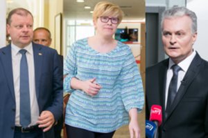 Politologai: prezidento rinkimai gali sukelti net ir vyriausybės krizę