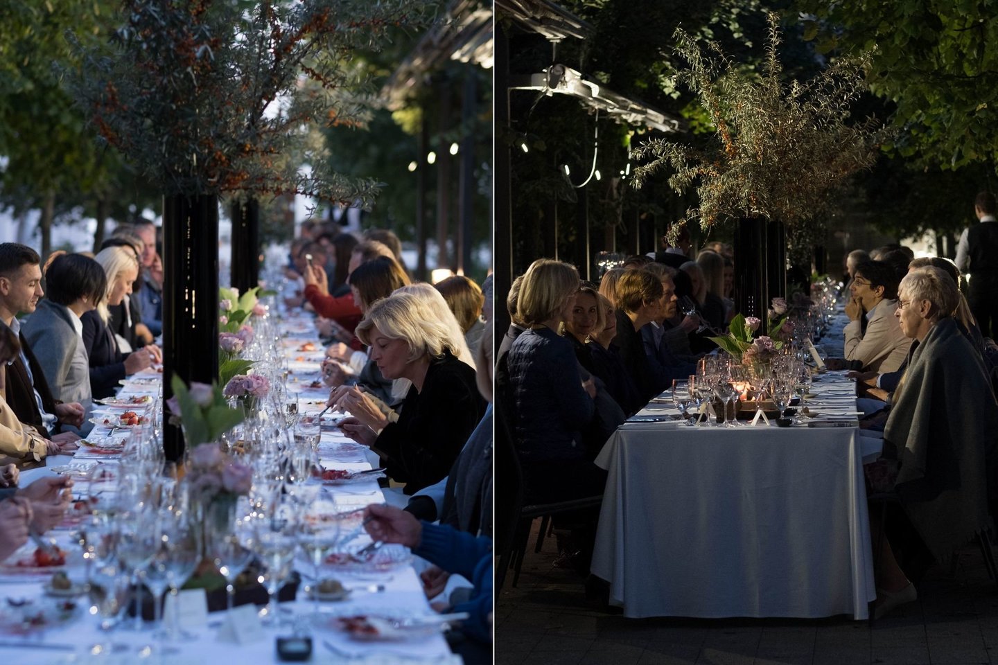  „Tribute Vinalia Rustica.2018“ vakarienėje, surengtoje Pažaislio vienuolyno Liepų alėjoje, susirinko 70 svečių.<br> Agnės Dekerės nuotr. 