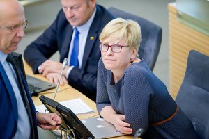 A. Kubilius reiškia paramą I. Šimonytei: ji turi ypatingą karmą