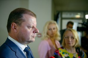 S. Skvernelis: kainų problema su rinkimais nesusijusi