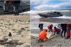 Po tragiškos regatos Klaipėdoje – širdį veriantis liudininko pasakojimas apie žuvusią 19-metę