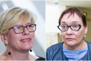 A. Maldeikienė apie I. Šimonytės kandidatūrą: bėda – partija, su kuria ji eina 