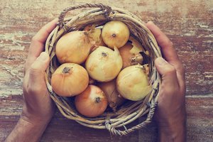 Kur laikote svogūnus? Nedarykite kelių klaidų 