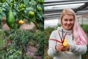 Iš šaltos savivaldybės kėdės – į egzotišką ūkį: auginamos produkcijos trokšta visi gurmanai