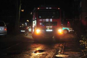 Biržų rajone fermos paskendo liepsnose