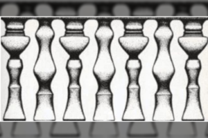 Ką matote? Tai rodo, ar jumis galima pasitikėti