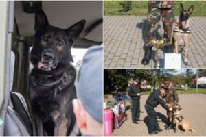 Susipažinkite – Cara geriausiai aptinka sprogmenis, o Mauras – narkotikus