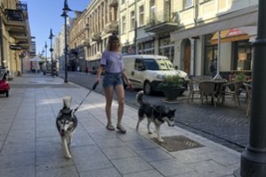 Nauja mada – šunų vedžiojimo paslauga