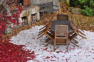 Spalio darbai darže, sode ir gėlyne – viskas aiškiai ir suprantamai 