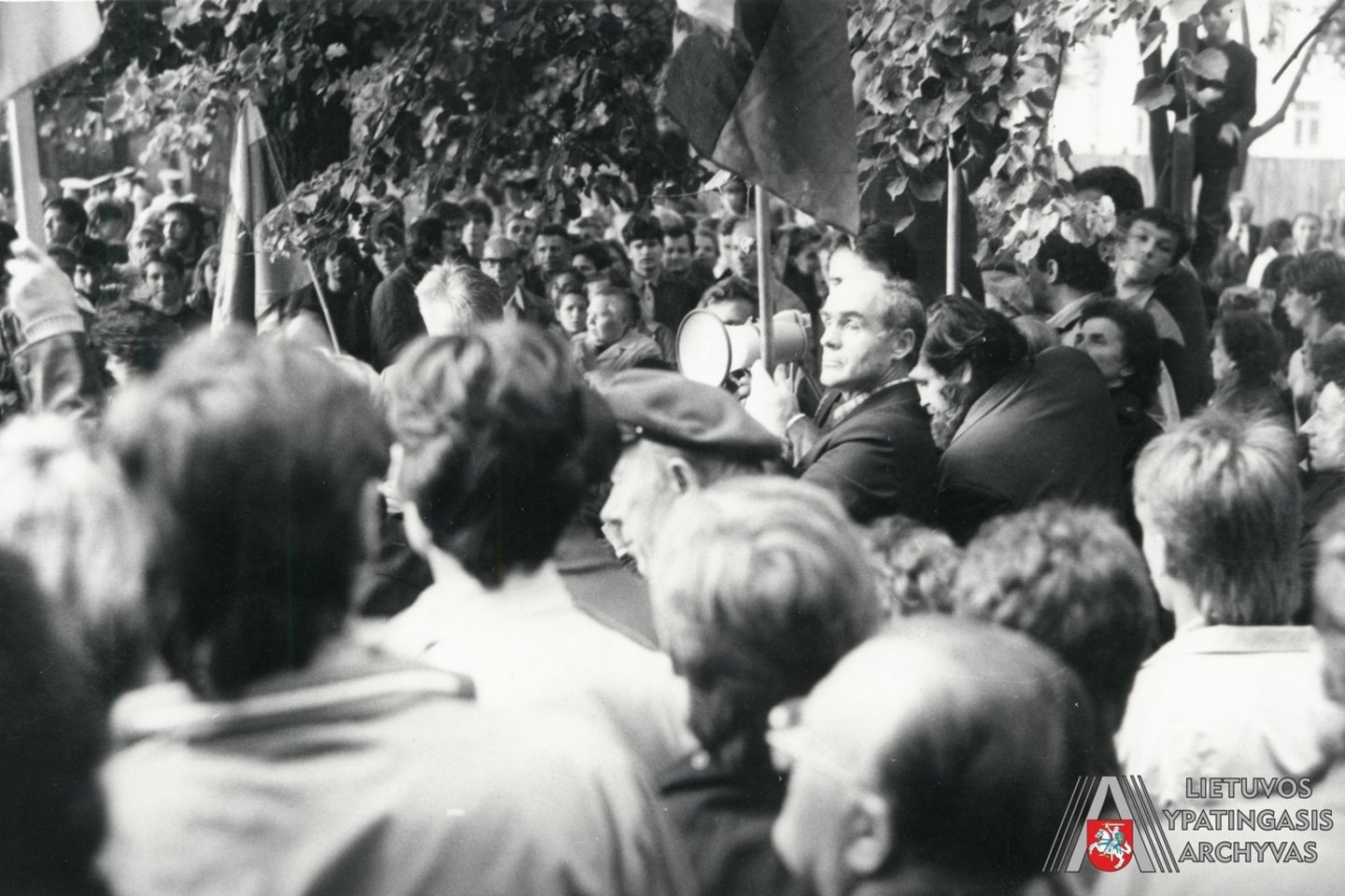 Lietuvos laisvės lygos 1988 m. rugsėjo 28 d. mitingas.