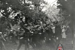 1988 m. rugsėjo 28 d. mitingas: kaip milicija protestuotojus vaišino bananais