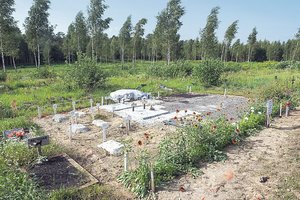 Valdininkai atlyžo: išsikasti palaidotų gyvūnų palaikų nebereikės