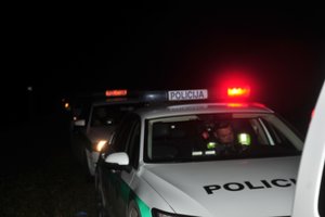 Nuskriejęs nuo kelio Vilniaus r. „Audi A3“ vartėsi 150 metrų, vairuotojas žuvo