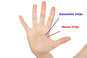 Marso linija: jei ją turite, per gyvenimą eisite buldozeriu