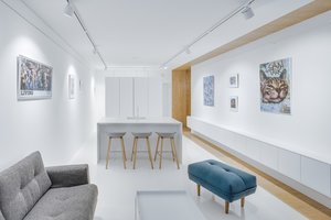 50 kv. metrų vilniečio bute dar  tilpo ir galerija