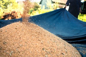 Europos Parlamentas imasi ginti ūkininkus nuo nesąžiningų supirkėjų