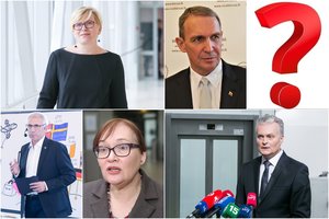 Kandidatus į tris tipus suskirstę ekspertai paaiškino, ko labiausiai nori lietuviai