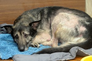 Įvardijo požymius, kaip atpažinti apsinuodijimą