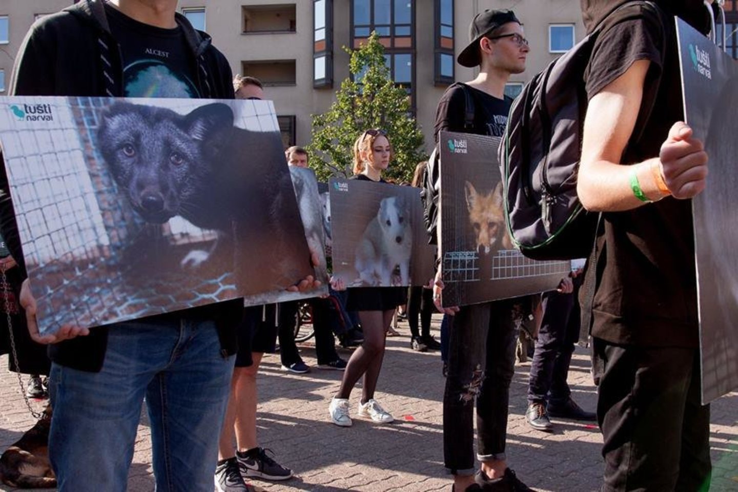 „Tušti narvai“ organizacijos protesto akcija prie Seimo – prieš kailinių žvėrelių augintojus.<br>„Tušti narvai“ facebook nuotr.